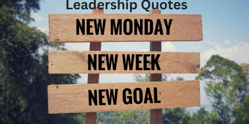 Leadership quotes examples