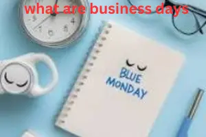 What Are Business Days: Complete Guide to Meaning, Calculation & Usage